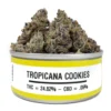 WhatsApp-Image-2021-12-07-at-3.15.33-AM Space Monkey Meds Tropicana Cookies