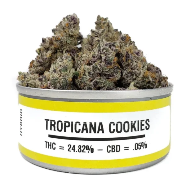 WhatsApp-Image-2021-12-07-at-3.15.33-AM Space Monkey Meds Tropicana Cookies