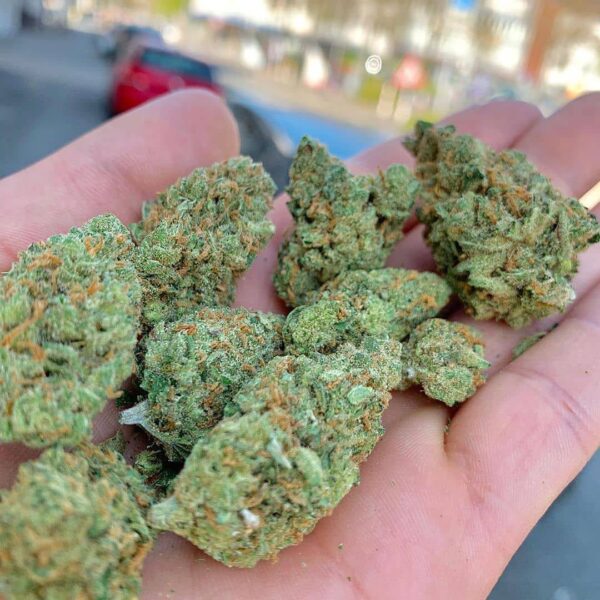 photo_2025-11-10_12-11-34 Space Monkey Meds Tropicana Cookies