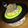 WhatsApp-Image-2021-12-11-at-10.18.30-AM Space monkey meds Gelato 33