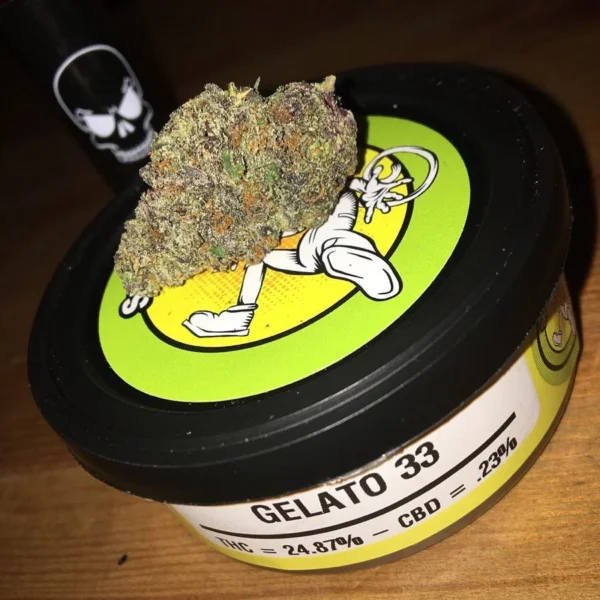 WhatsApp-Image-2021-12-11-at-10.18.30-AM Space monkey meds Gelato 33